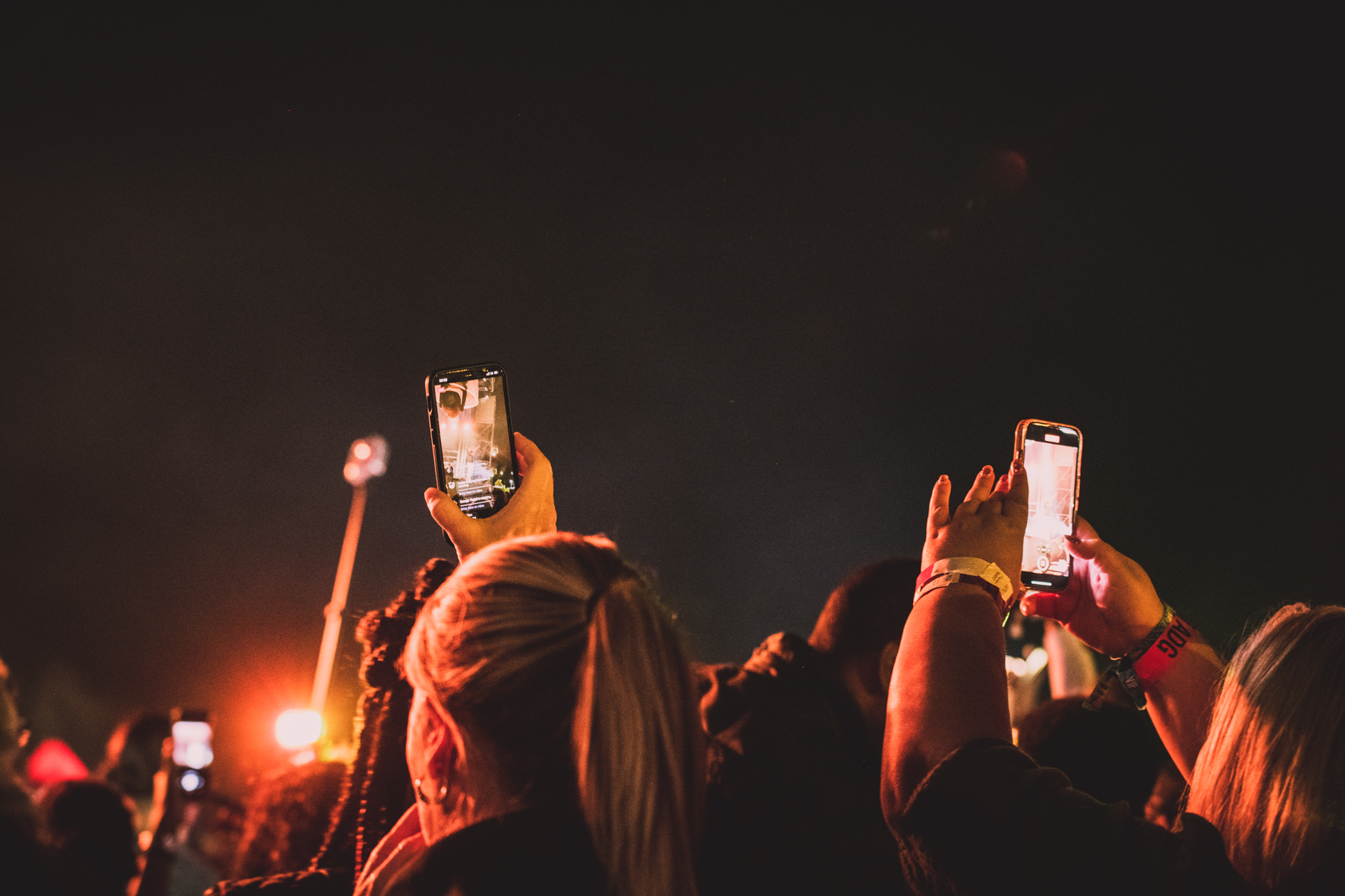 Get updates on the festival, in the app